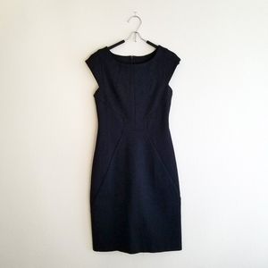 Banana Republic Fitted Sheath Dress